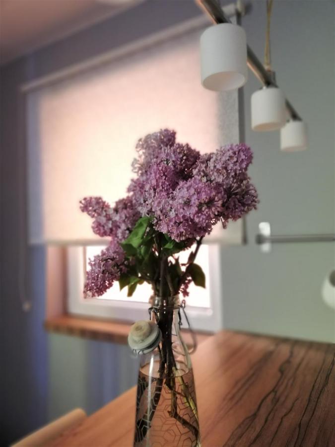 Nest Hotel Belgrade Luaran gambar